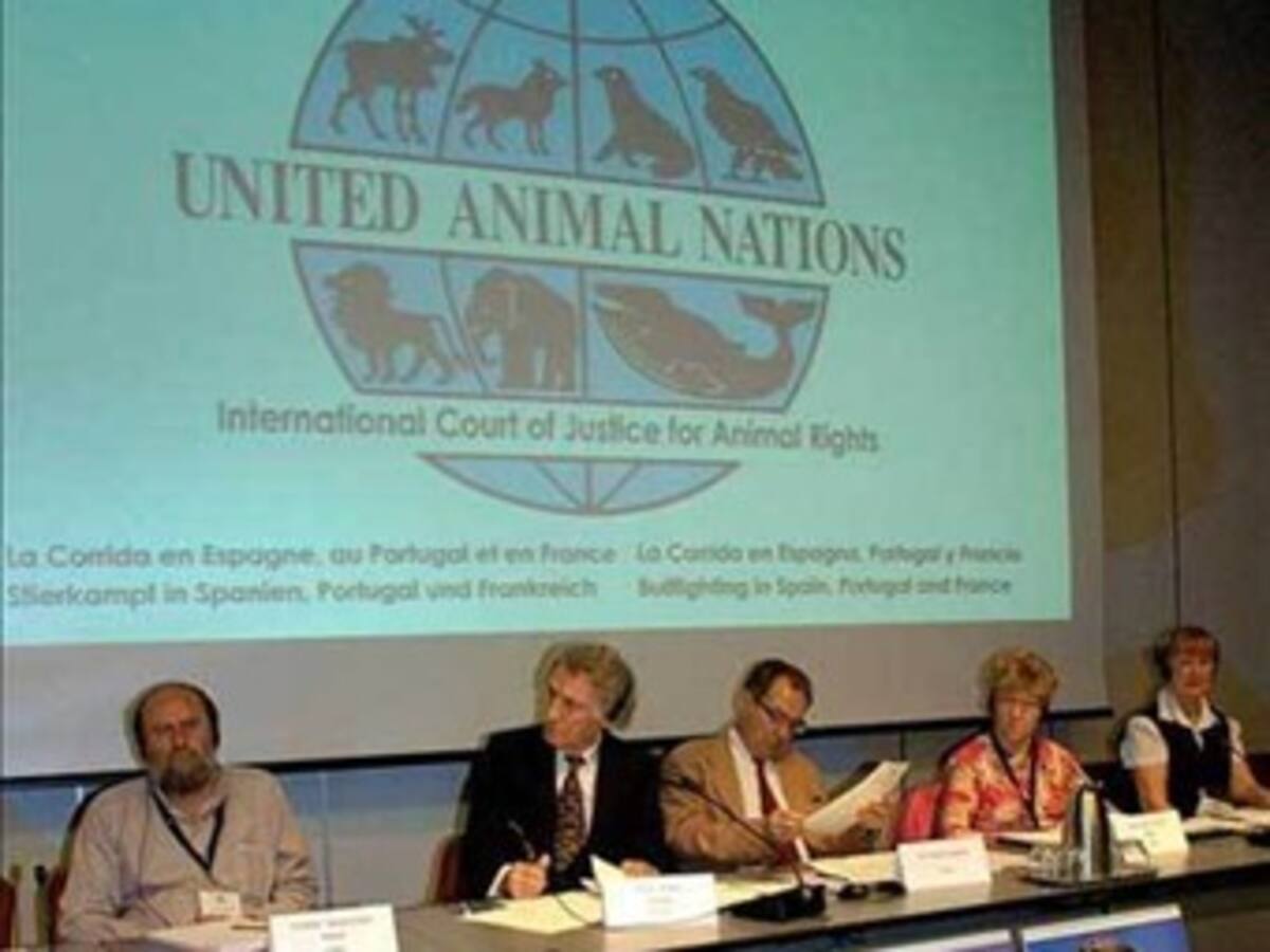 Defensores de las ballenas 'juzgan' a ministros de Pesca de Japón y Noruega