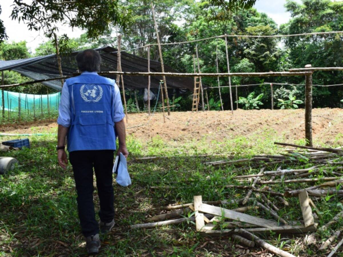 Al menos 229 desplazados en Nariño por enfrentamientos armados: ONU