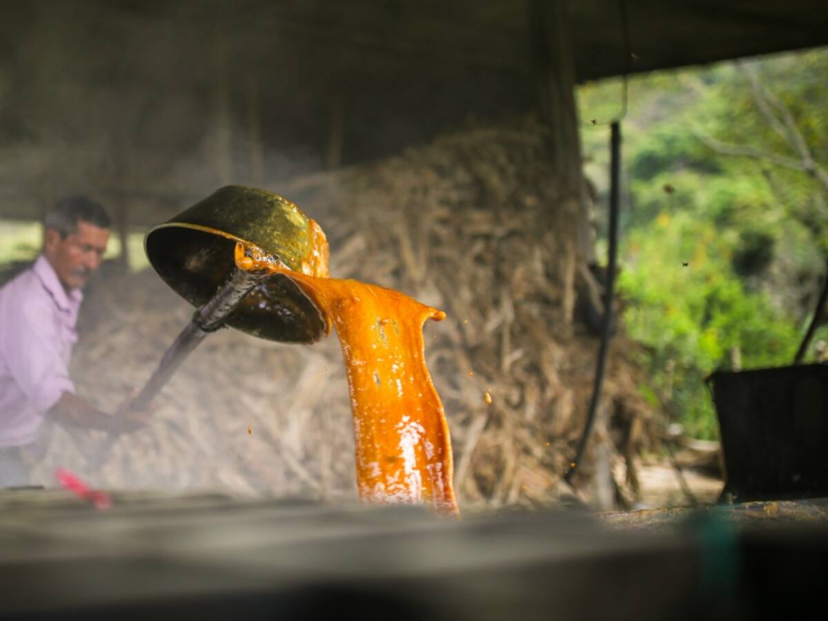 Denuncian que en Huila programa PAE no contempla la panela de la región