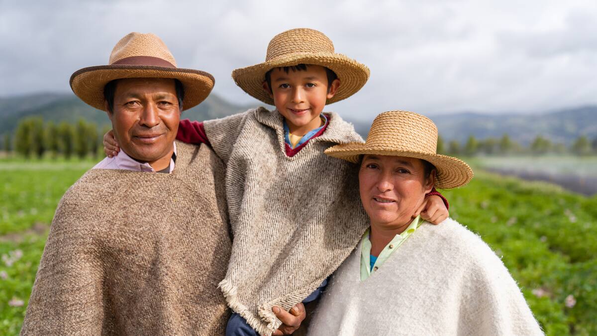 Muy flojo cumplimiento de los derechos laborales en el campo, advierte analista universitario