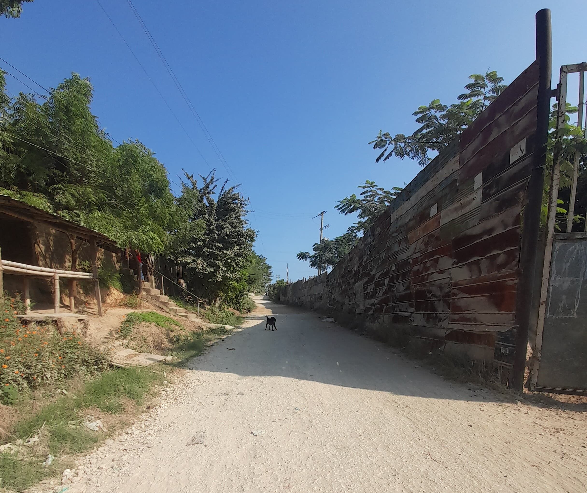 Alcaldía de Cartagena