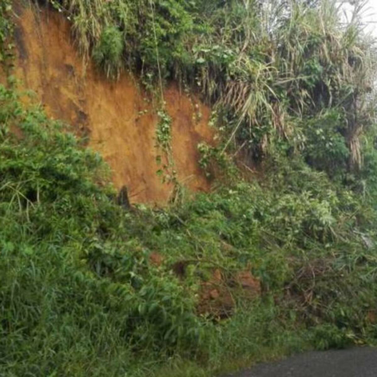 Dos deslizamientos de tierra se registraron en zona urbana de Pereira