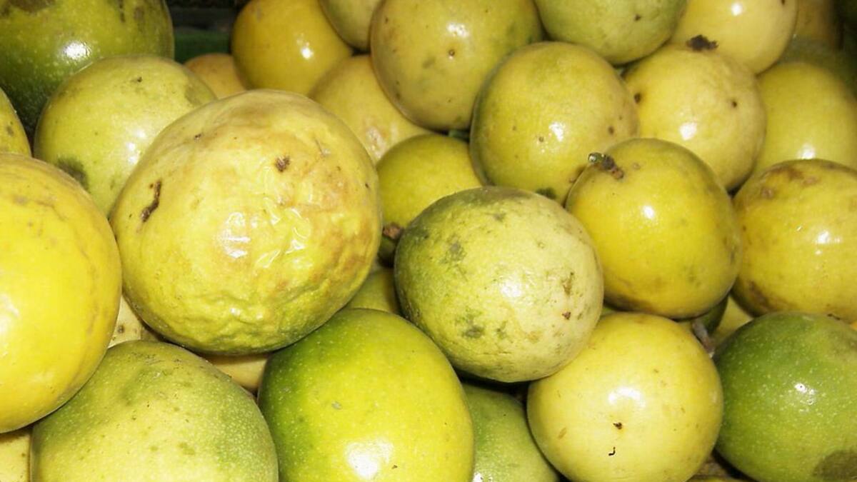Maracuyá, una fruta que apasiona