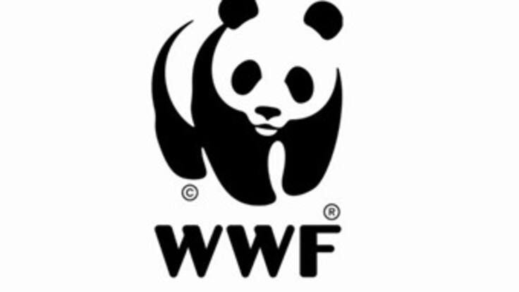 Embajadora de la Hora del Planeta Ingird Leal creadora del wwf