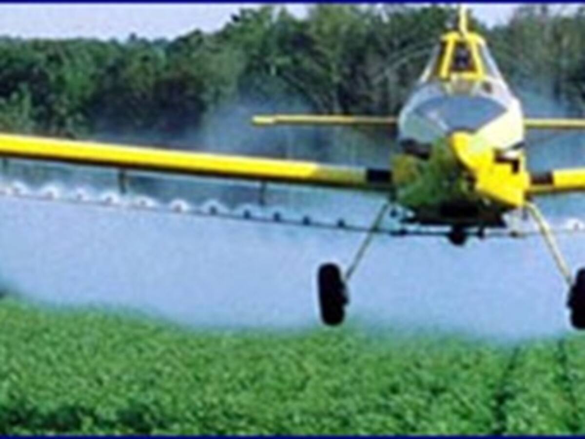 Denuncian afectación de 90 hectáreas de Cacao por fumigaciones aéreas en Nariño