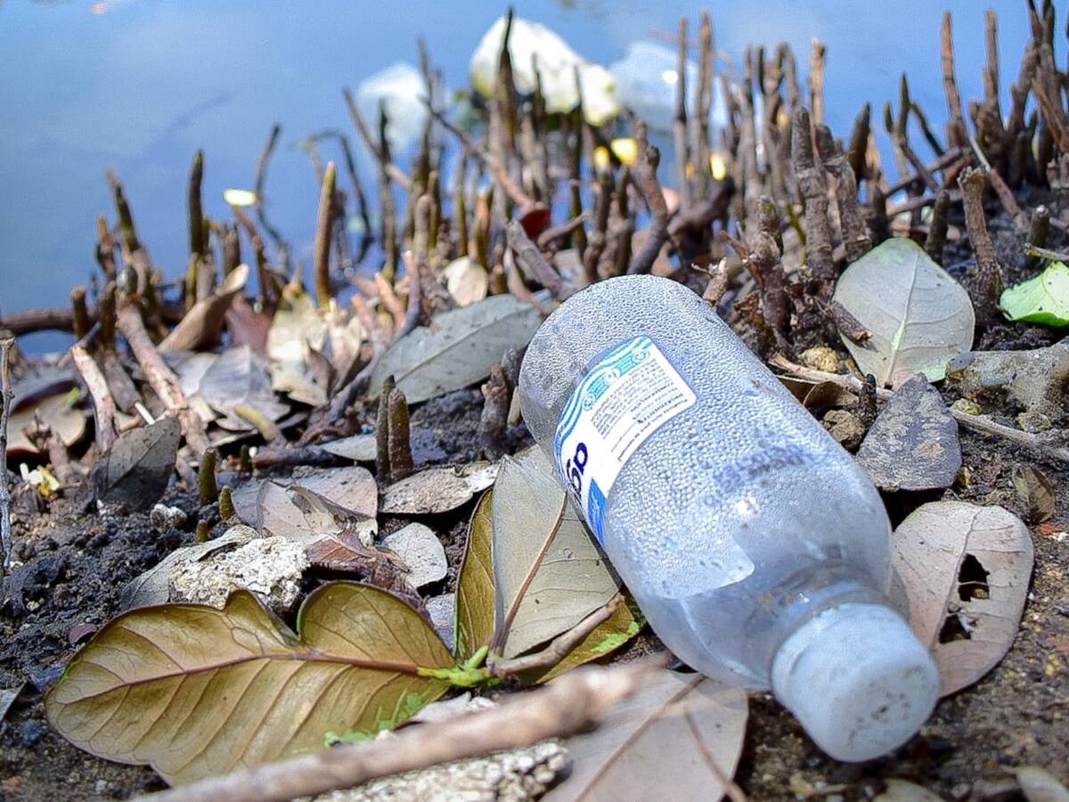 20 postulantes pasan a evaluación en la convocatoria de financiación de proyectos IAT