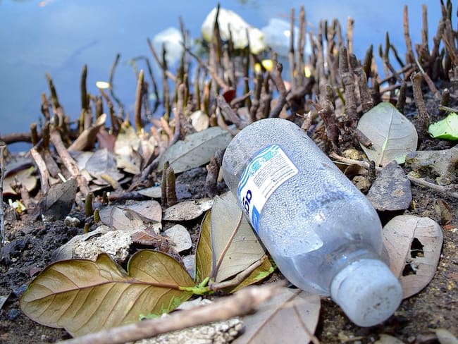20 postulantes pasan a evaluación en la convocatoria de financiación de proyectos IAT