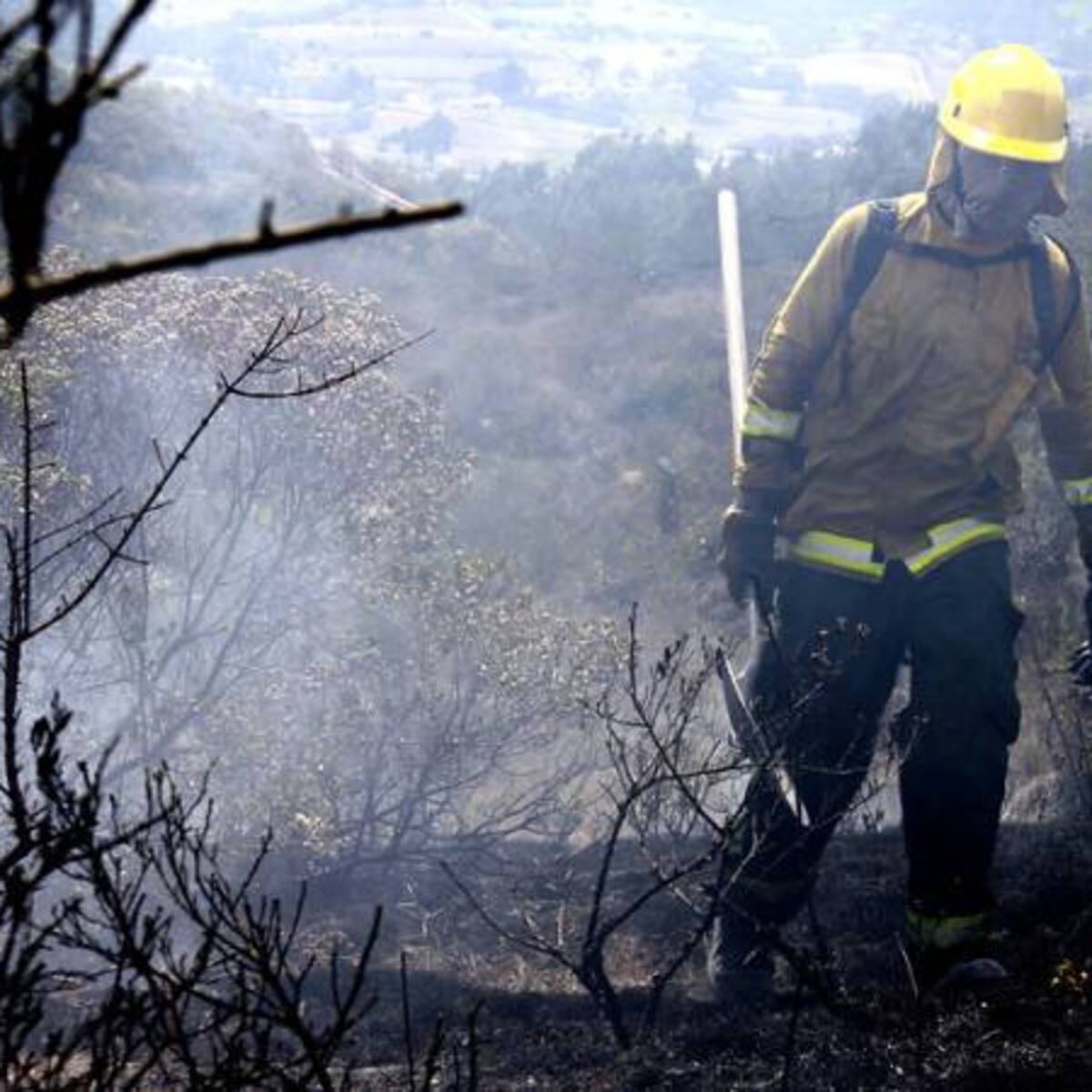Fue controlado el incendio forestal en el páramo de Pisba Boyacá