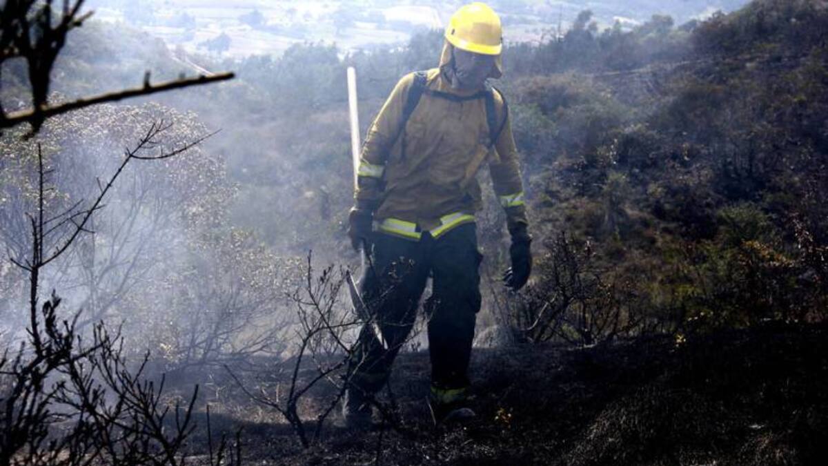 Evacúan 10 familias por incendio forestal cercano a un páramo en Boyacá
