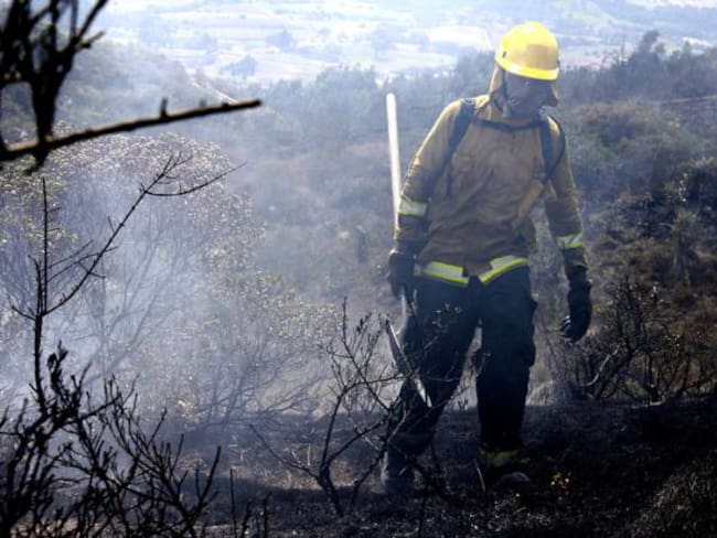 Incendio forestal consumió varias hectáreas de bosque en Duitama