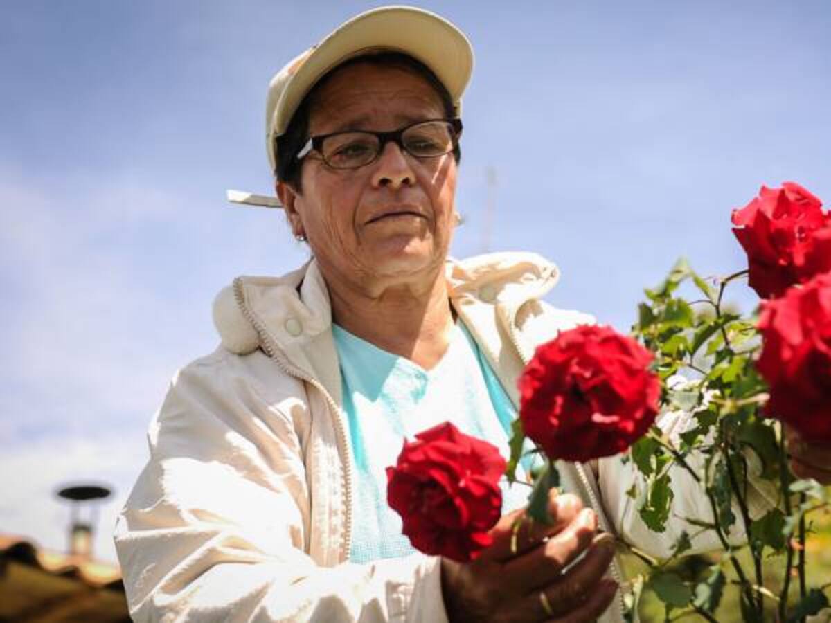 San Valentín, la fórmula de Colombia para superar la industria de EE.UU.