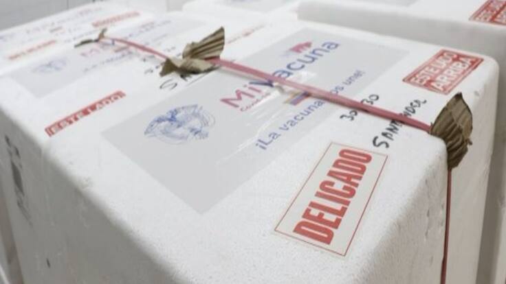 Llegaron más de 129.000 vacunas Sinovac para niños