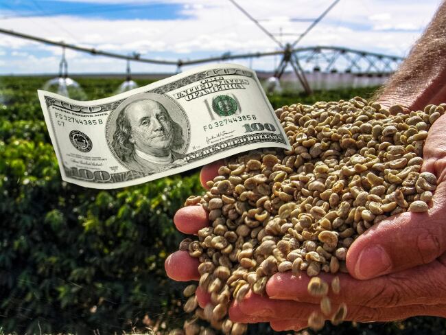 Un dólar más barato le cuesta millones al campo cafetero: así impacta al productor // Caracol Radio