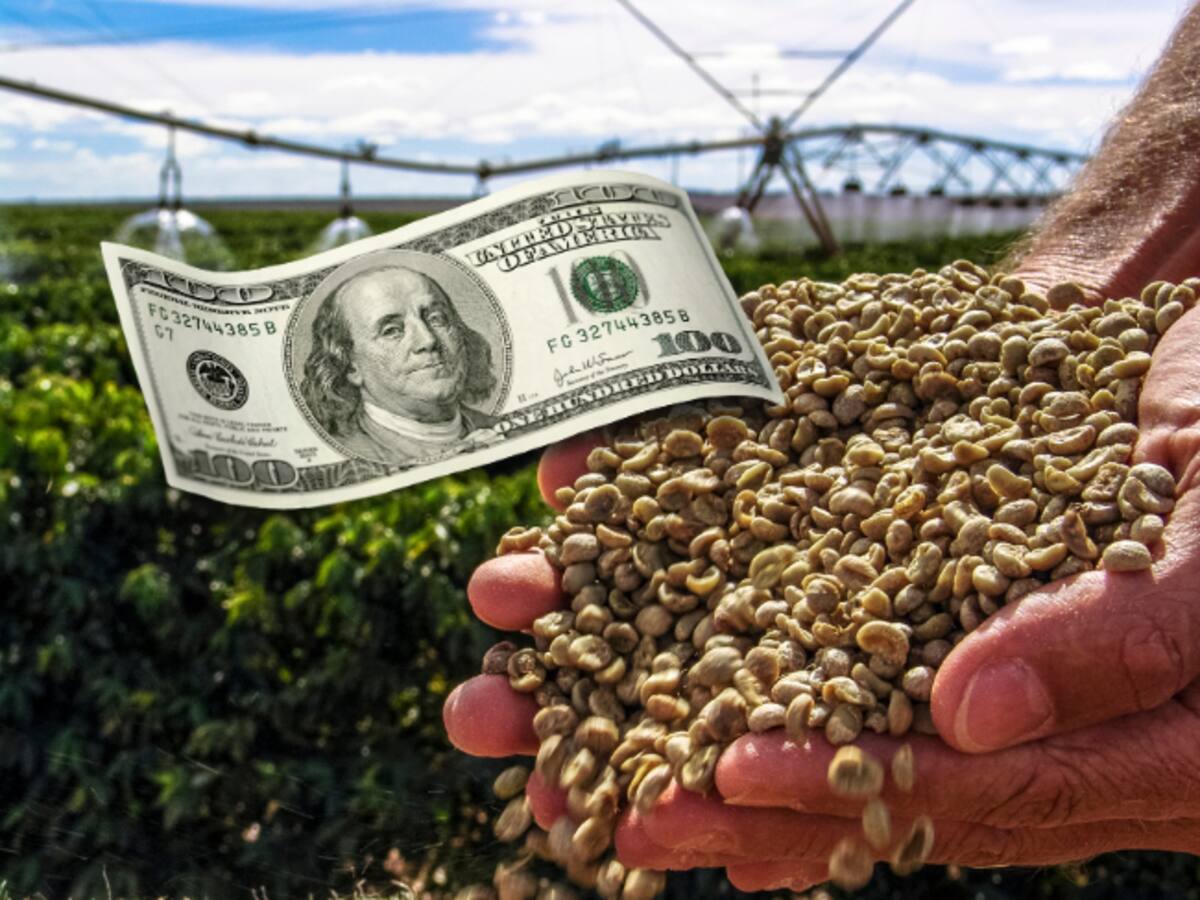 Revaluación del peso destruye rentabilidad de los cafeteros: Germán Bahamón