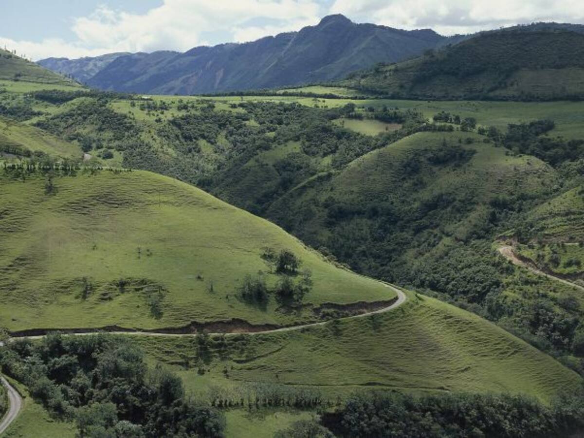 ‘Colombia Bio’, serie documental sobre la inexplorada biodiversidad colombiana