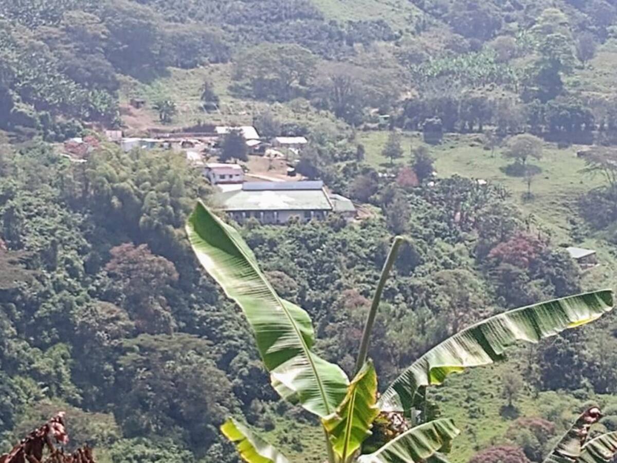 Turismo en Bicicleta, otra alternativa para conocer el Eje Cafetero