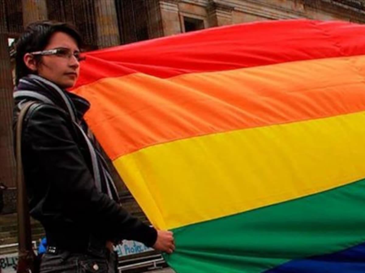 Corte estudiará este miércoles proyecto sobre adopción gay