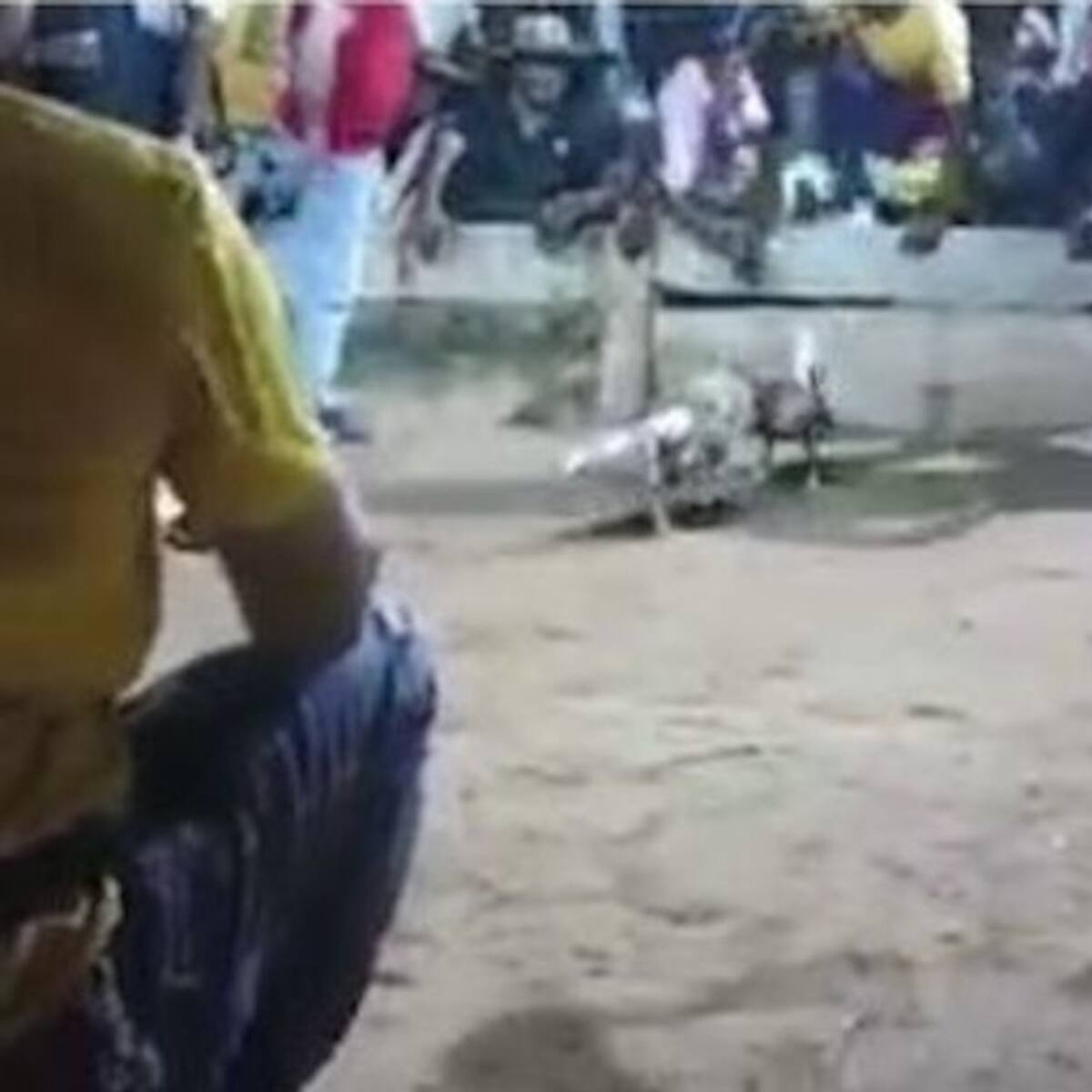 Ofrecen recompensa por información de autores del triple crimen en Guamal