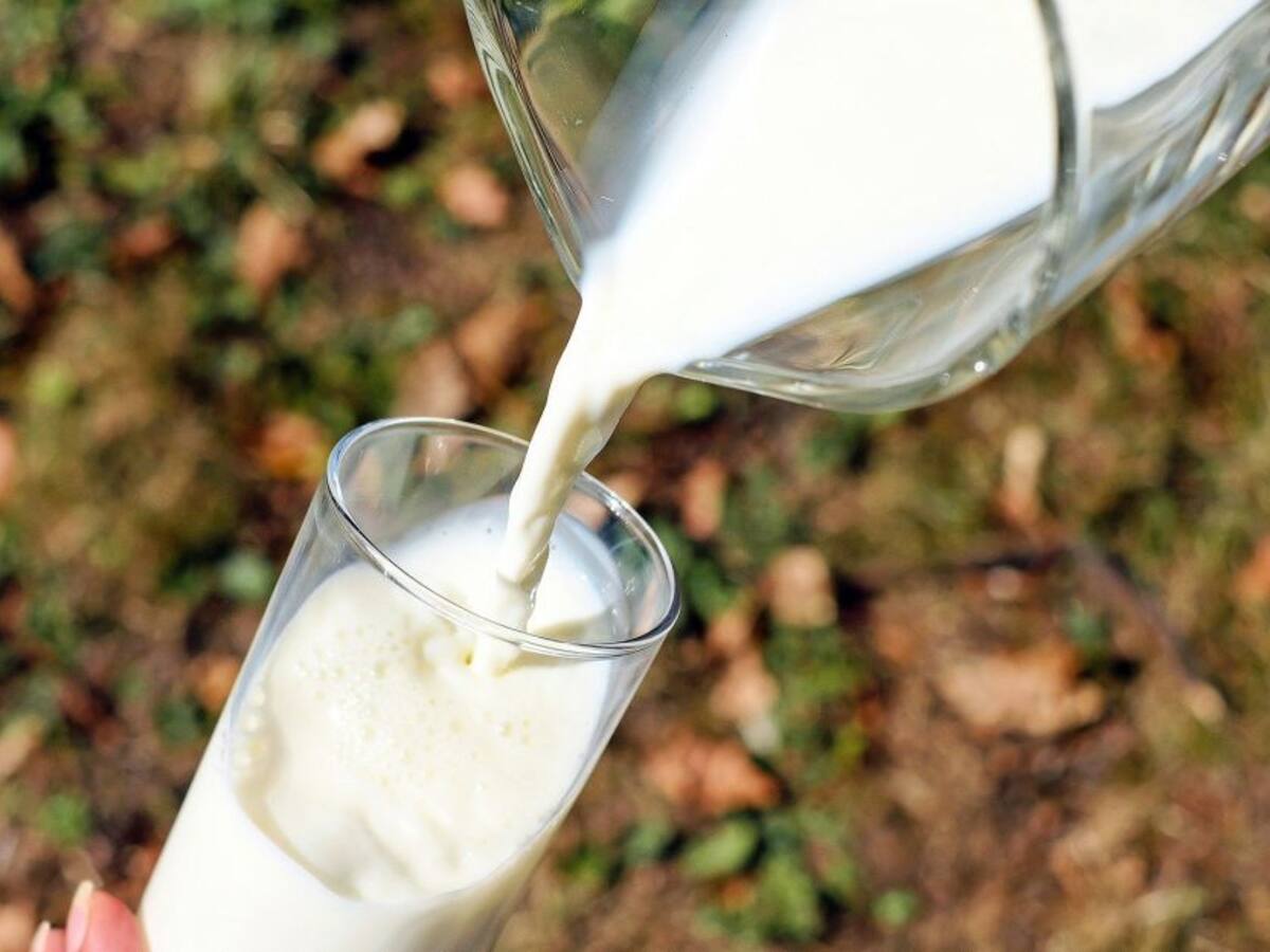 Leche cruda o pasteurizada: ¿cuál es más saludable?