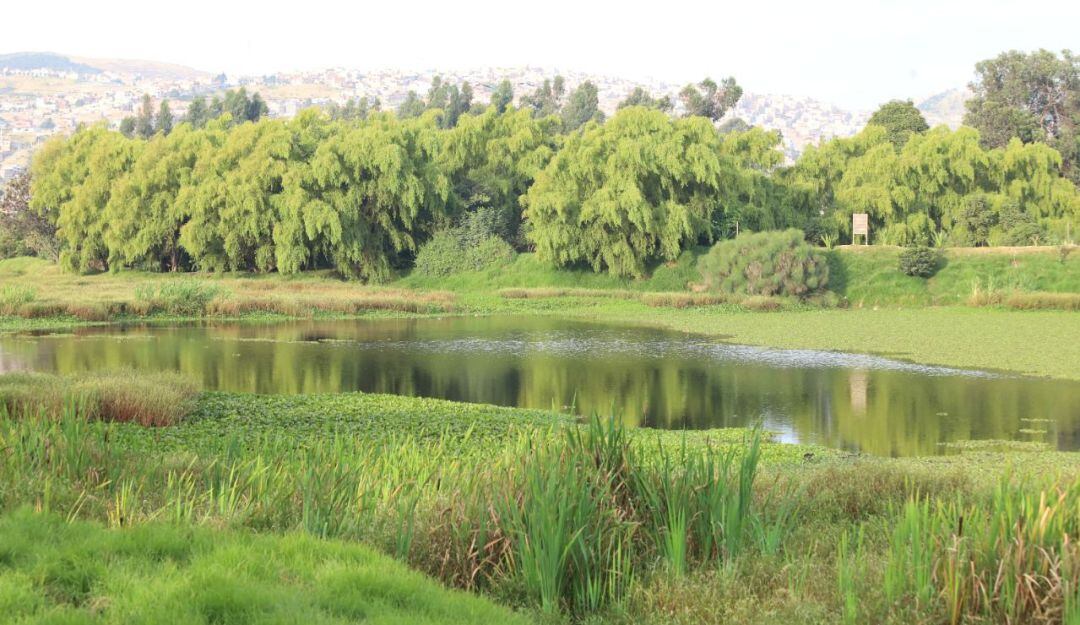 Humedales