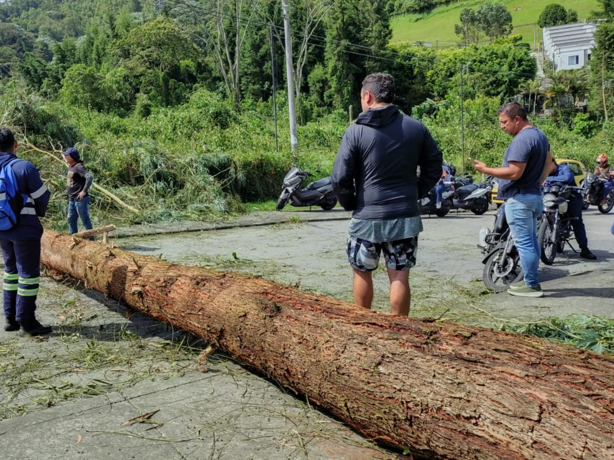 Fuertes vientos en Caldas han generado caída de árboles, bloqueos de vías y cortes en la energía