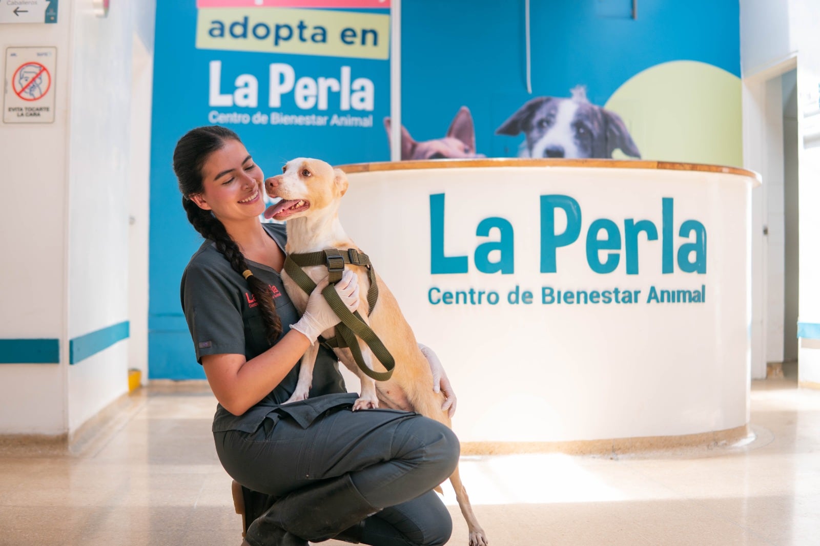 Foto: Alcaldía de Medellín