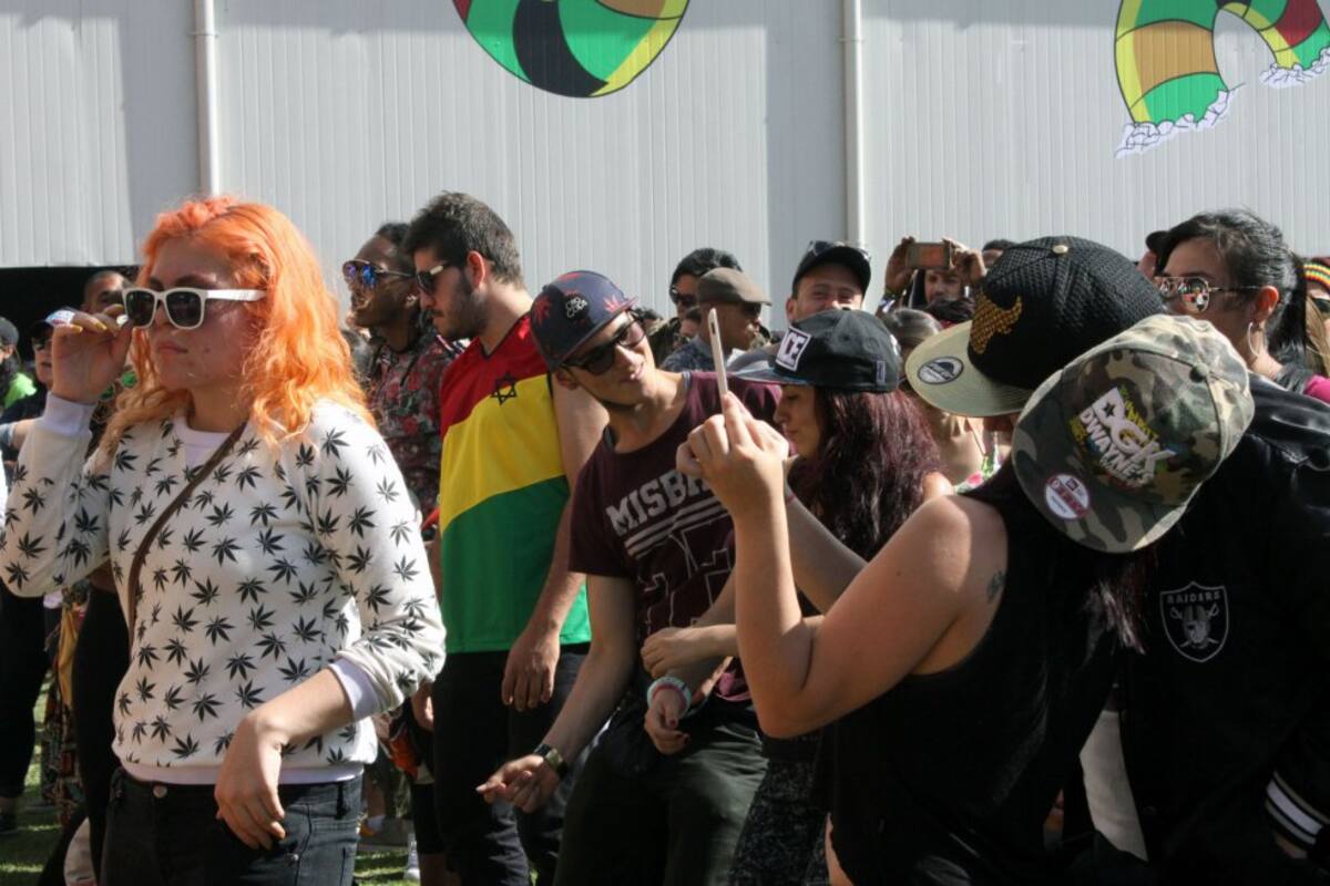 Tres tarimas distintas, un espacio para la academia y las ruedas de prensa con las bandas, otro para bailar y tomar, zonas de comidas y esparcimiento o simplemente el pasto, fueron los espacios que el público disfrutó en el Jamming. 