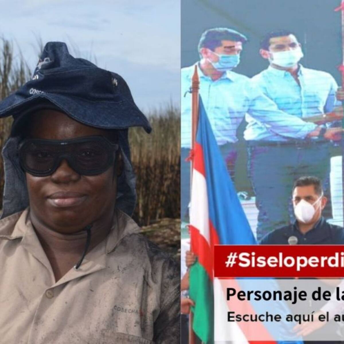 Temas: mujer y cortera de caña, plan de seguridad y Juegos Panamericanos Jr