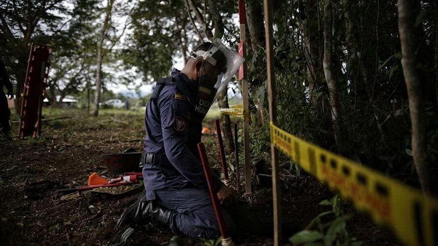 Imagen de referencia. Foto: Colprensa