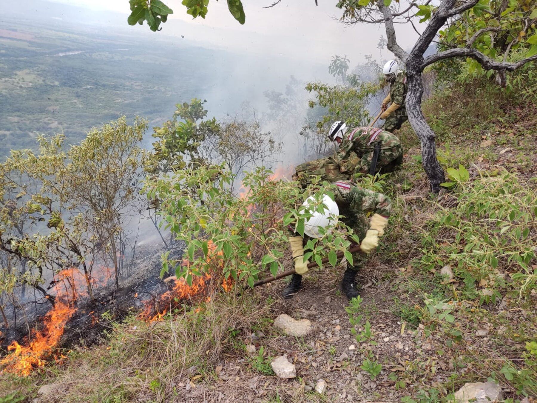 Incendios forestales en el Tolima