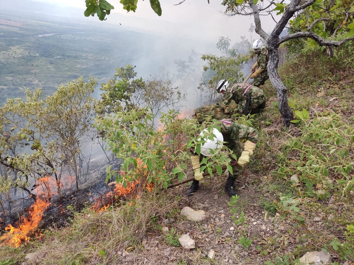 Dos incendios forestales han consumido 500 hectáreas de vegetación en el Tolima