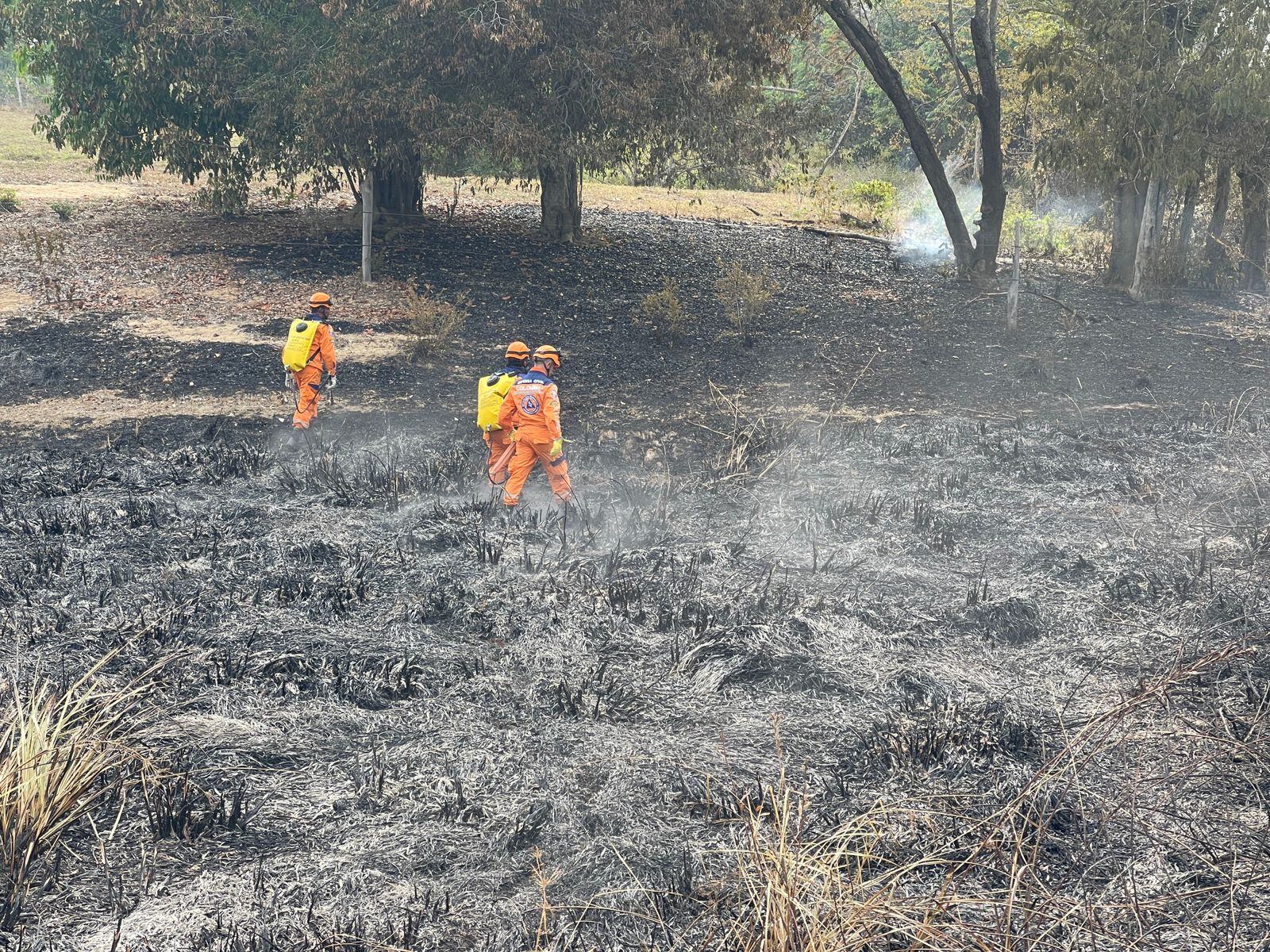 Incendio de cobertura vegetal.