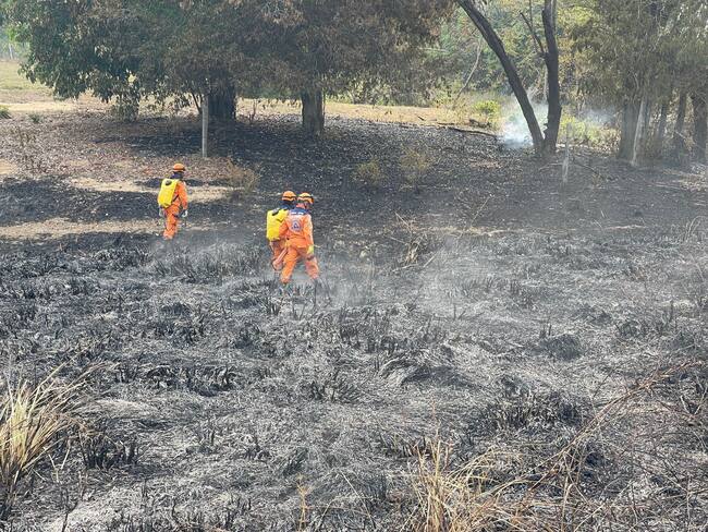 Incendio forestal en zona del Magdalena Medio santandereano quemó más de 1.000 hectáreas de cultivos, palma de aceite y bosque nativo.