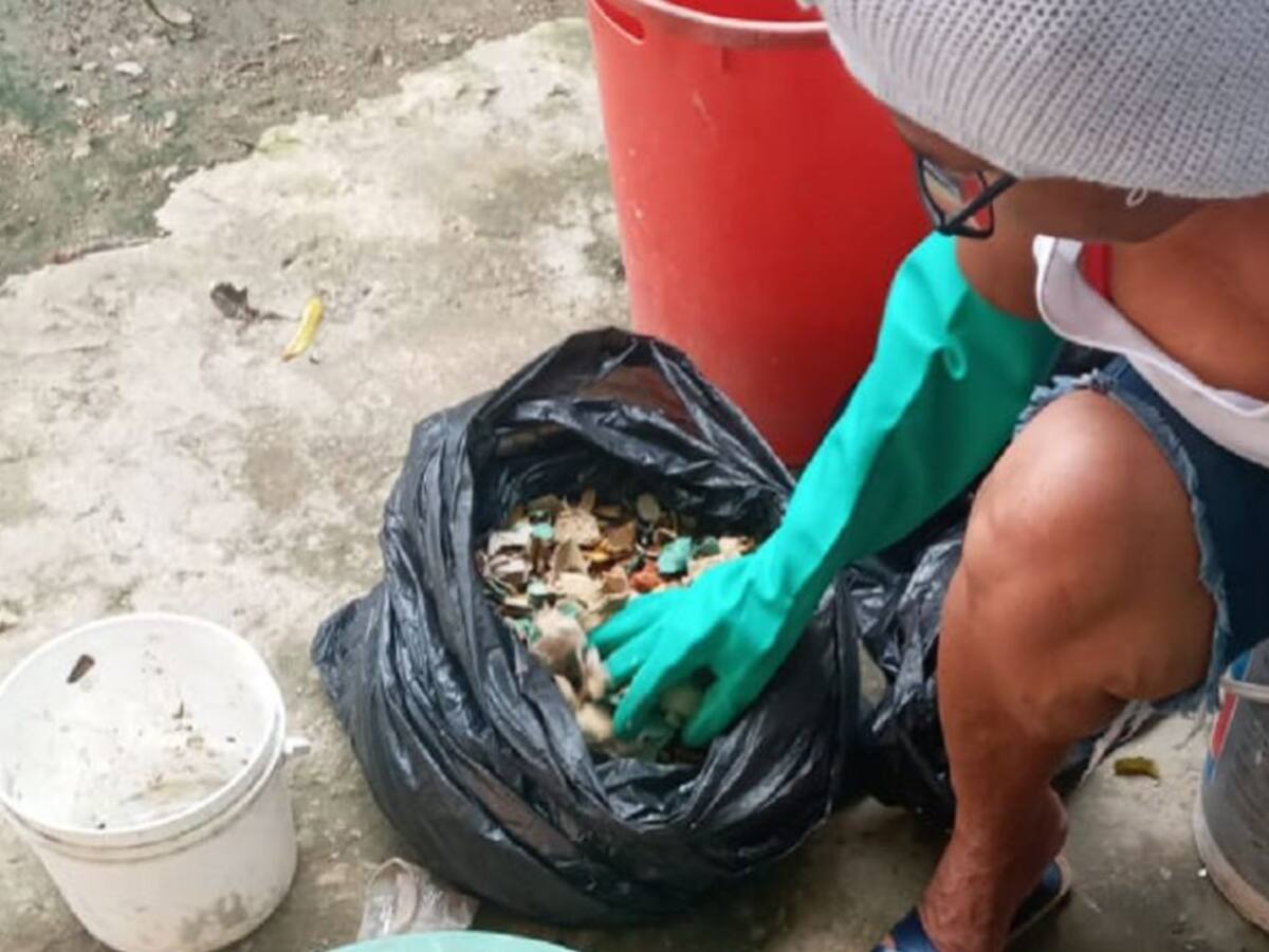 Madres de Cartagena impulsan huertas caseras en medio de la pandemia