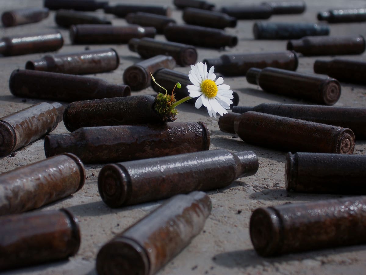 ¿Qué dice INDEPAZ sobre el cese al fuego en medio de la Paz total?