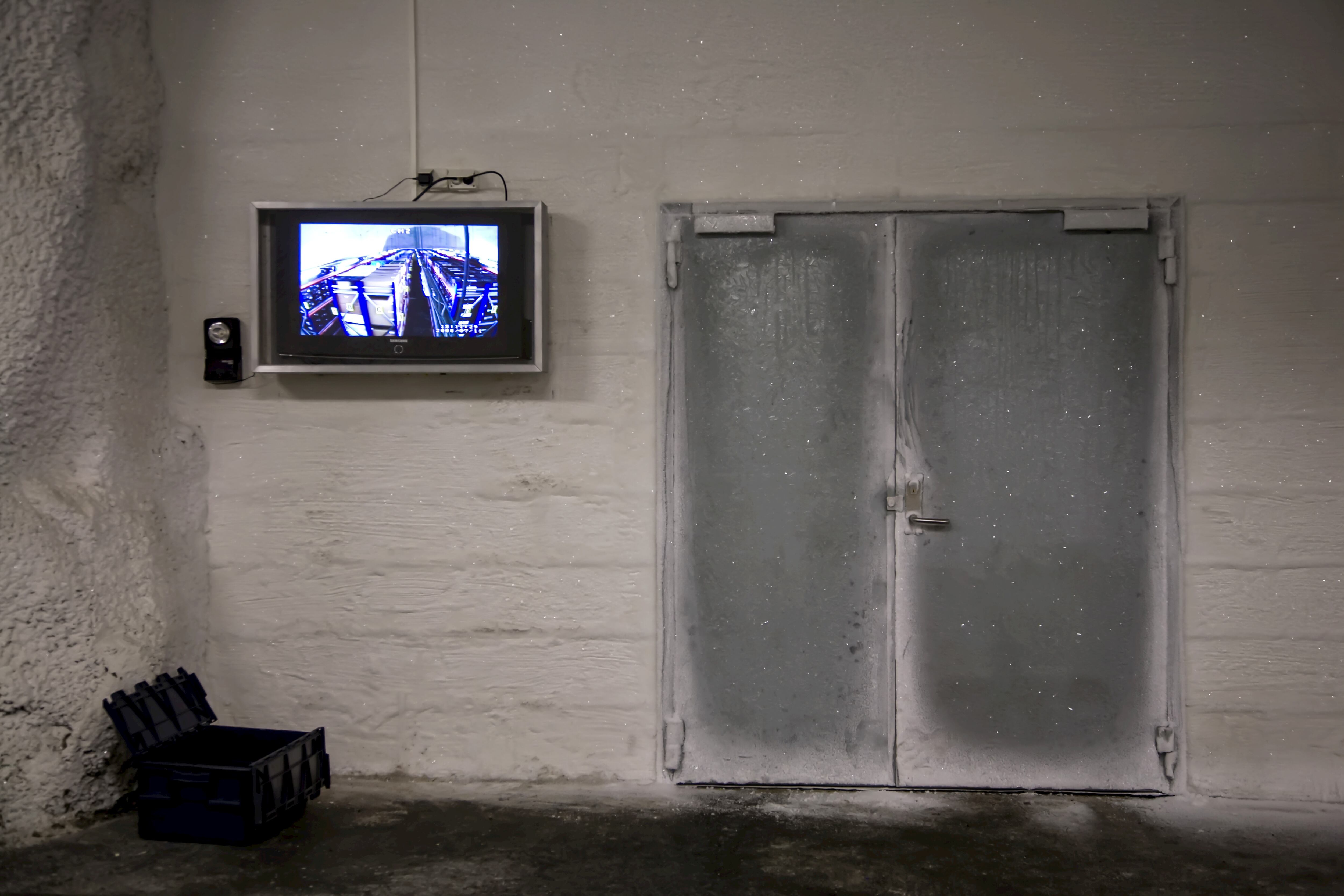 La Bóveda Global de Semillas de Svalbard. Foto: Getty Images.