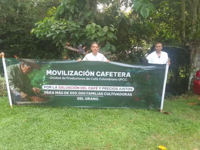 “Necesitamos ayuda del Gobierno”: Alonso Suárez, miembro de Dignidad Cafetera Antioquia