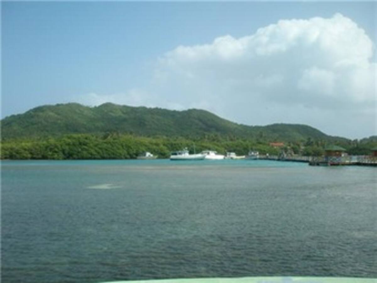 Jornada de limpieza de Costas en San Andrés