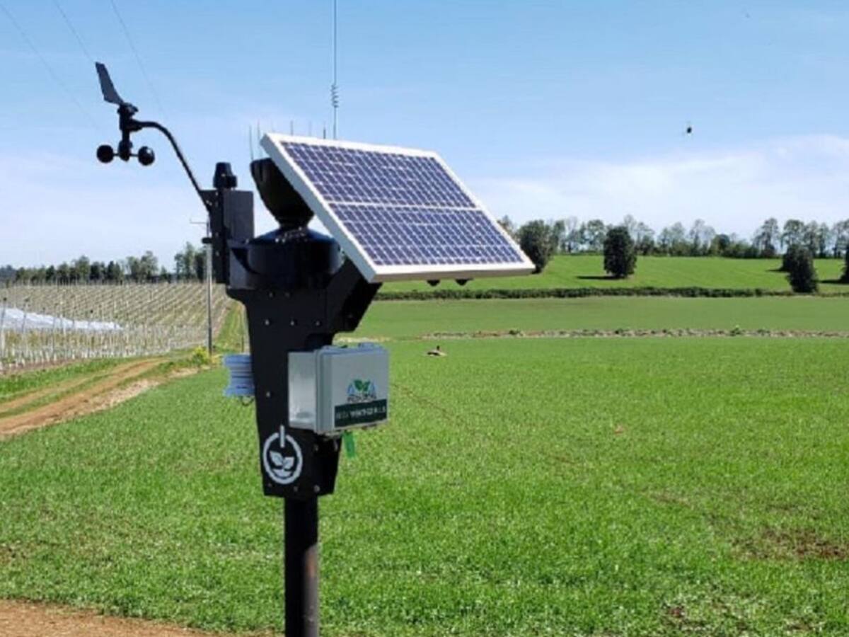 Llega tecnología para predecir el clima en las fincas
