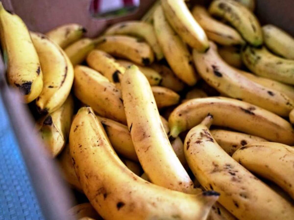 Mercados Regionales campesinos para apoyar el agro bolivarense