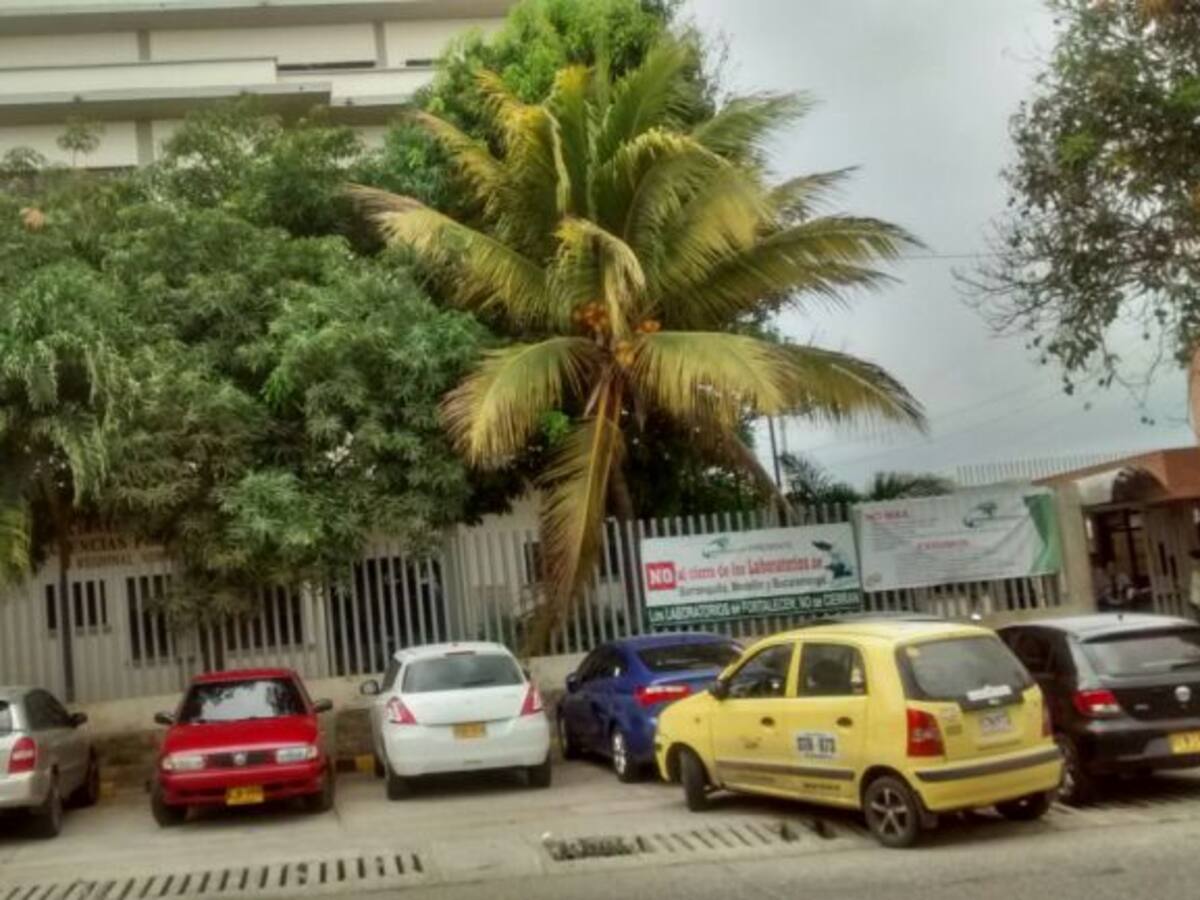 Investigan extraña muerte de gemelos de tres meses de nacido