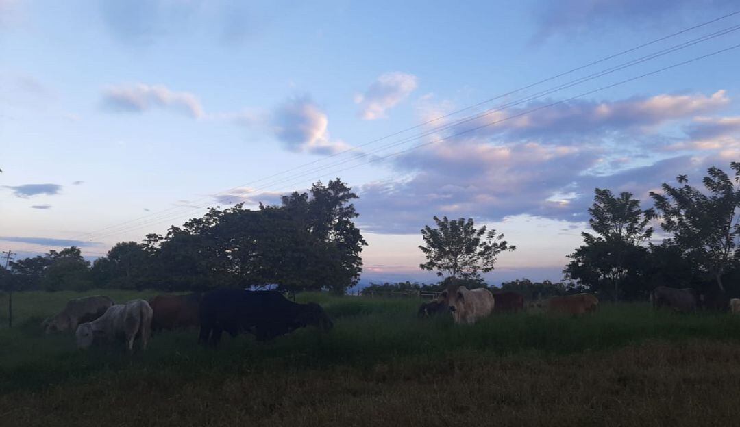 Hermoso amanecer desde Circasia en el Quindío