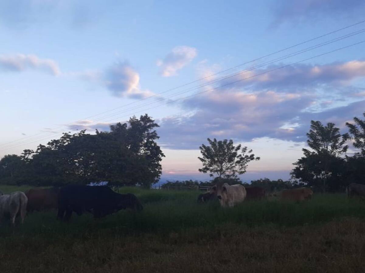 Las noticias más importantes de Armenia y el Quindío, miércoles 15 de julio