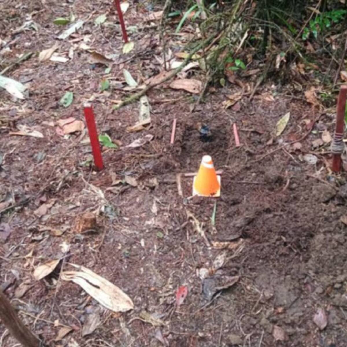 Caldas tiene más de 160 veredas sin minas antipersonales