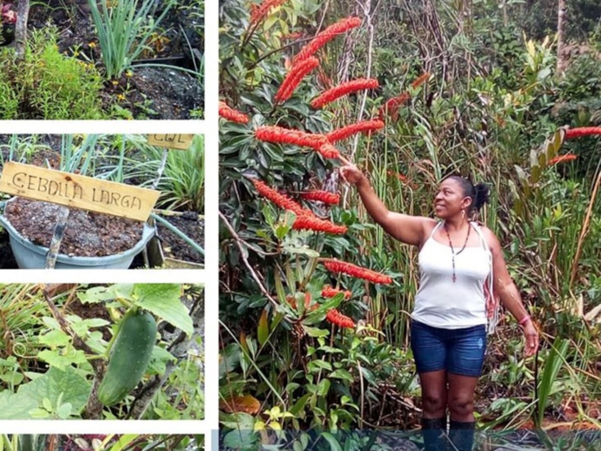 Mujeres de Nuquí toman la iniciativa de emprender sus propios productos