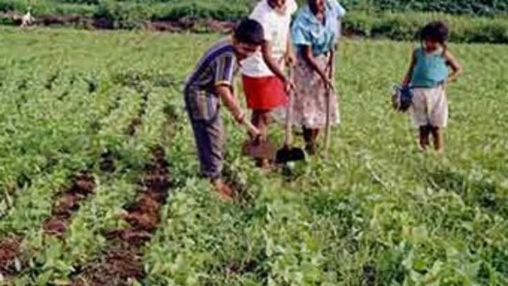 Incoder investiga titulación fraudulenta de tierras en Marinilla, Antioquia