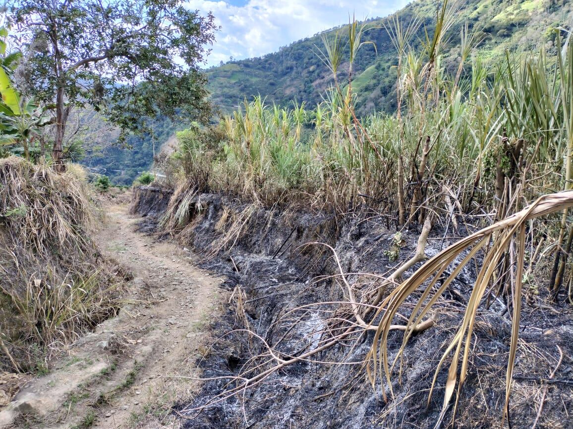 Foto: Cuerpo de Bomberos de Salamina.