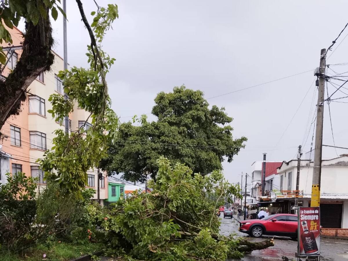 Fuerte Vendaval en Armenia generó destechamiento de viviendas y caída de árboles