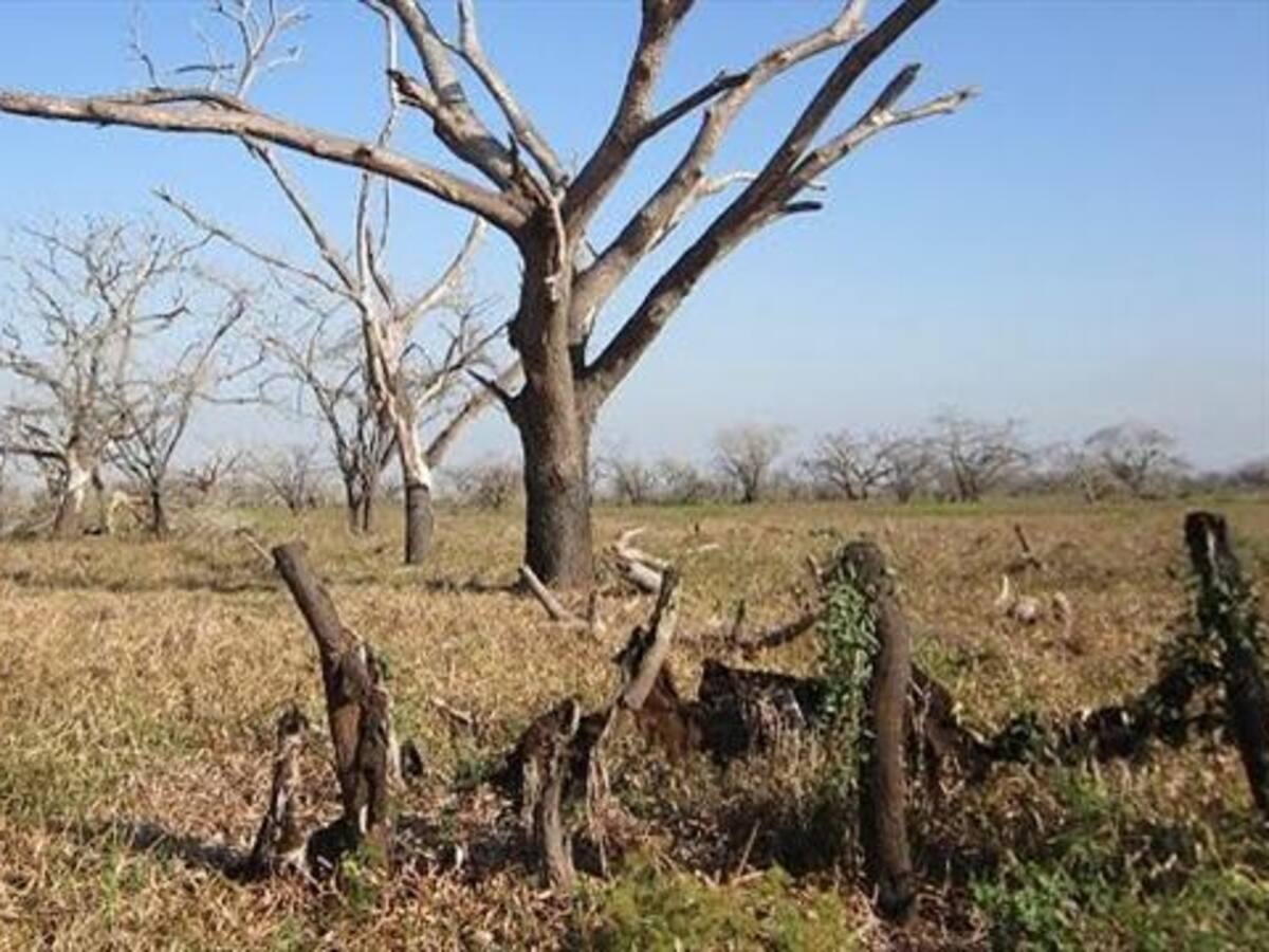 $200.000 millones se invertirán para hacer frente al fenómeno de El Niño