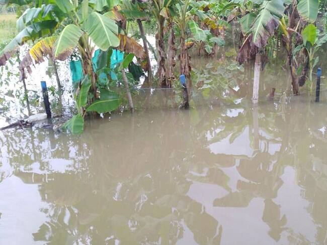 Varios sectores de Montería inundados por taponamientos de canales